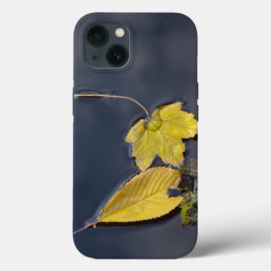 Case-MateタフApple iPhone 13ケース Case-Mate iPhoneケース (裏面)