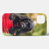 Case-MateタフApple iPhone 13ケース Case-Mate iPhoneケース (裏面 (横))