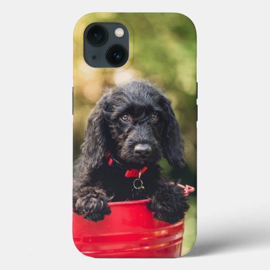 Case-MateタフApple iPhone 13ケース Case-Mate iPhoneケース (裏面)