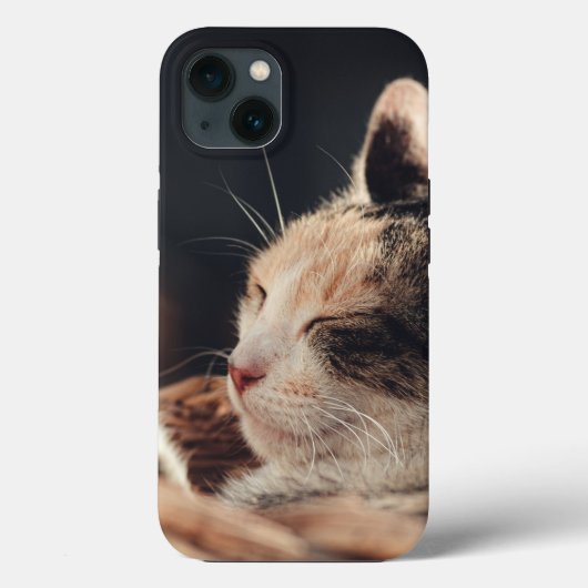 Case-MateタフApple iPhone 13ケース Case-Mate iPhoneケース (裏面)