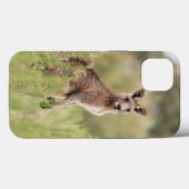 Case-MateタフApple iPhone 13ケース Case-Mate iPhoneケース (裏面 (横))
