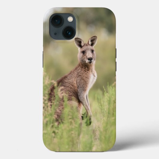 Case-MateタフApple iPhone 13ケース Case-Mate iPhoneケース (裏面)