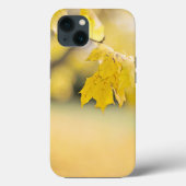 Case-MateタフApple iPhone 13ケース Case-Mate iPhoneケース (裏面)
