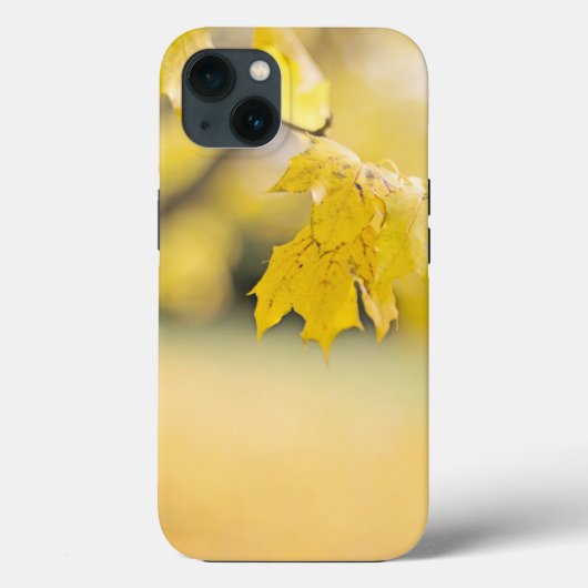 Case-MateタフApple iPhone 13ケース Case-Mate iPhoneケース (裏面)
