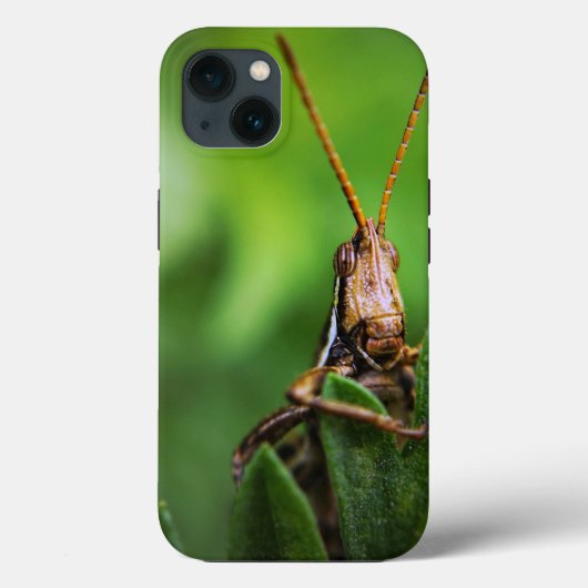 Case-MateタフApple iPhone 13ケース Case-Mate iPhoneケース (裏面)