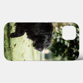 Case-MateタフApple iPhone 13ケース Case-Mate iPhoneケース (裏面 (横))
