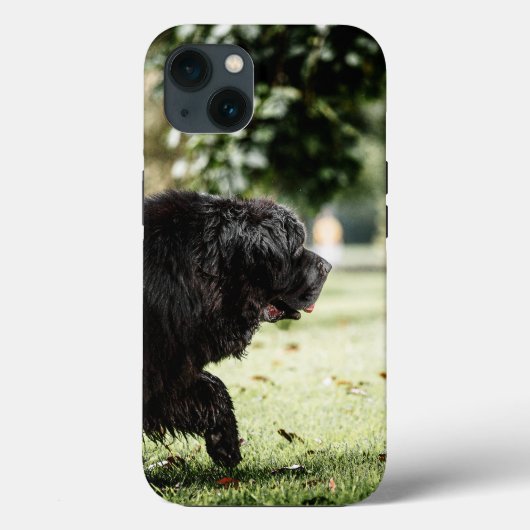 Case-MateタフApple iPhone 13ケース Case-Mate iPhoneケース (裏面)