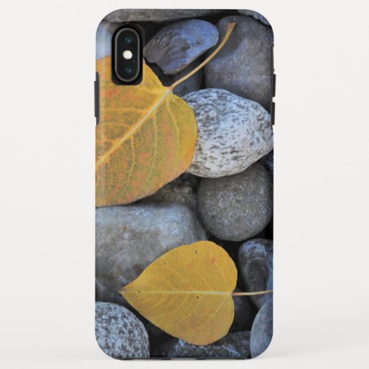 Case-MateタフApple iPhone XS Maxケース Case-Mate iPhoneケース (裏面)