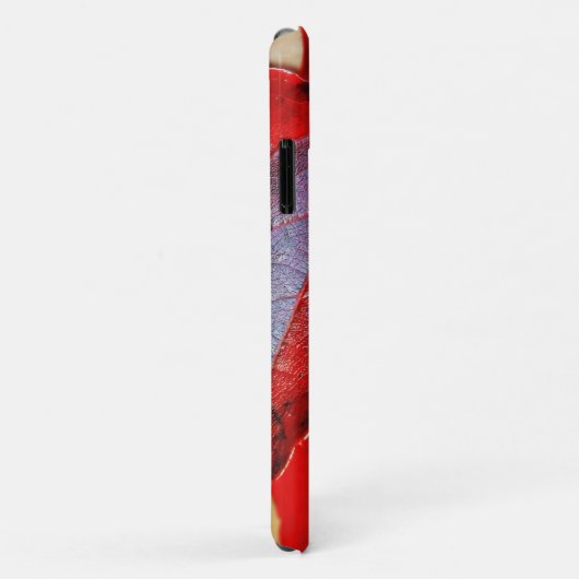 Case-Mate Barely There Apple iPhone 11 カバー (裏面/右)