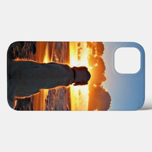 Case-Mate Barely There Apple iPhone 13 カバー (裏面 (横))