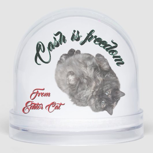Cash is Freedom by RoseWrites Snow Globe (正面)