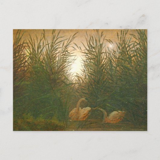 Caspar David Friedrich Postcによるリードの白鳥 ポストカード (正面)