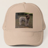 casquette lagotto-romagnolo キャップ (正面)