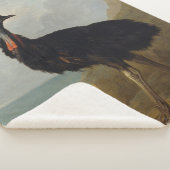 Cassohare （オーストラリアの鳥） （野生動物の芸術） シェルパブランケット (3/4)