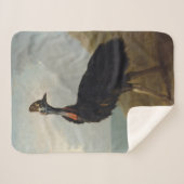 Cassohare （オーストラリアの鳥） （野生動物の芸術） シェルパブランケット (正面(横))