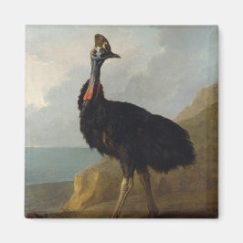 Cassohare （オーストラリアの鳥） （野生動物の芸術） マグネット
