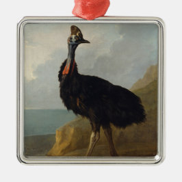 Cassohare （オーストラリアの鳥） （野生動物の芸術） メタルオーナメント