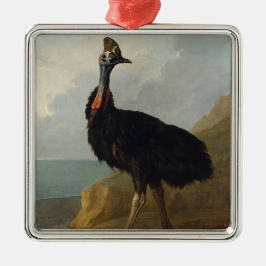 Cassohare (オーストラリアの鳥) (野生動物の芸術) メタルオーナメント (正面)