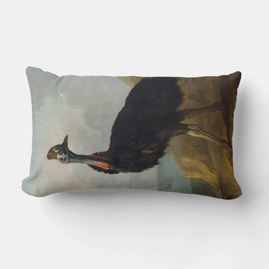 Cassohare （オーストラリアの鳥） （野生動物の芸術） ランバークッション (正面)