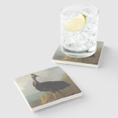 Cassowary (Australian Bird) (Wild Animal Art) ストーンコースター (横)