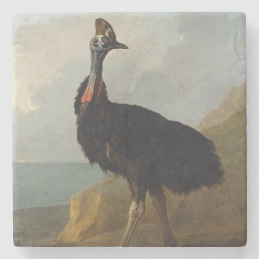 Cassowary (Australian Bird) (Wild Animal Art) ストーンコースター (正面)