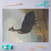 Cassowary (Australian Bird) (Wild Animal Art) 薄葉紙 (クラフト)