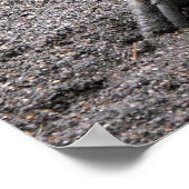 Cassowary in springtime ポスター (角)