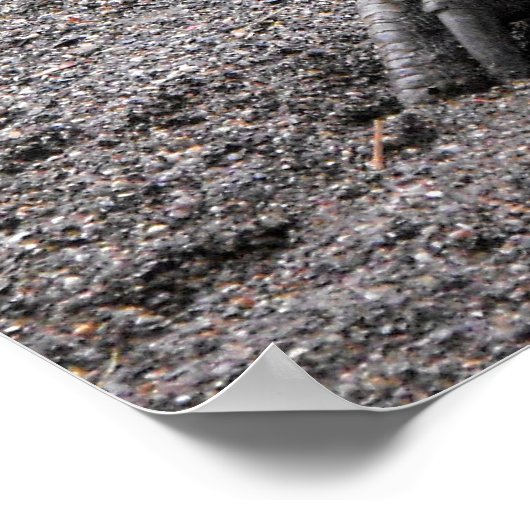 Cassowary in springtime ポスター (角)