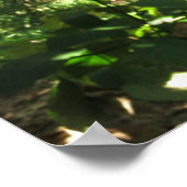 Cassowary Portrait Poster ポスター (角)