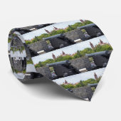 Castillo San Marcosの大砲 ネクタイ (ロール)