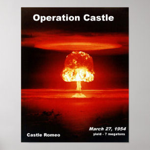 Castle_Romeo ポスター