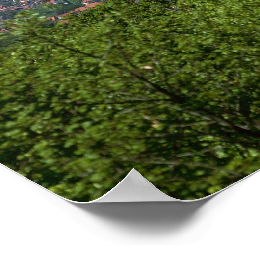 Castle, Wernigerode, Saxony Anhalt，ドイツ ポスター (角)