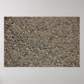 Castlepoint ポスター (正面)