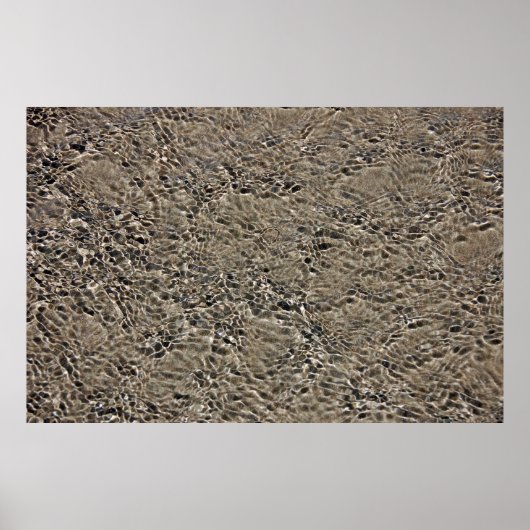 Castlepoint ポスター (正面)