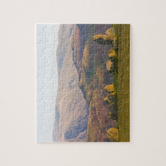 Castlerigg Stone Circle, Lake District, Cumbria, 2 ジグソーパズル (縦)