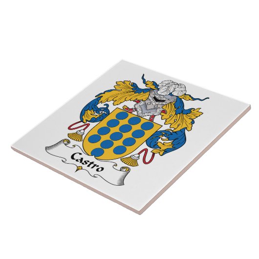 Castroの家紋 タイル (側面)