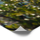 Castro Street Rainbow Flag San Francisco – LGBTQ+ ポスター (角)