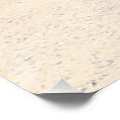 Casuarina Trees, Long Island Bahamas ポスター (コーナー)