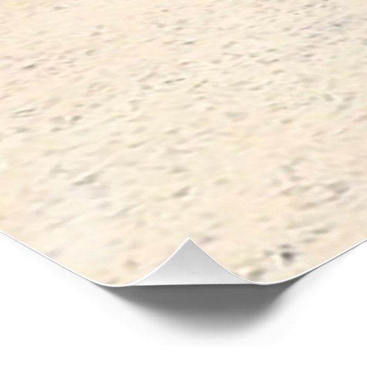 Casuarina Trees, Long Island Bahamas ポスター (コーナー)