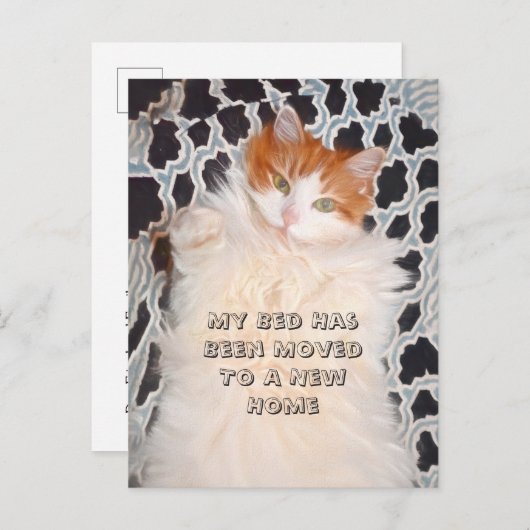 Catおもしろいかわいい新しいアドレス ポストカード (正面/裏面)