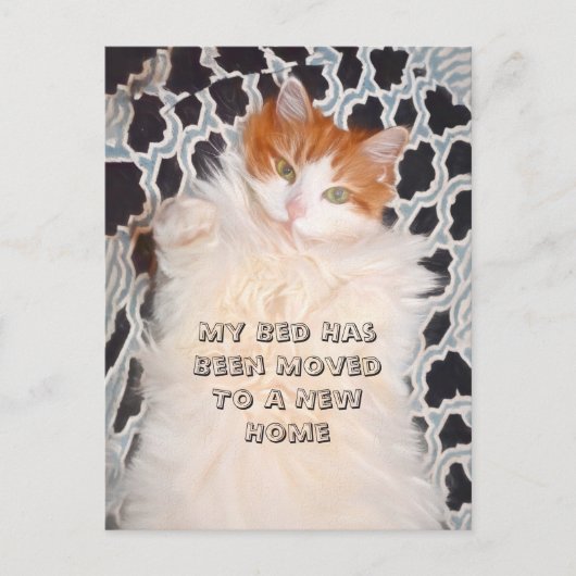 Catおもしろいかわいい新しいアドレス ポストカード (正面)