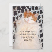 Catおもしろいかわいい新しいアドレス 案内状 (正面)