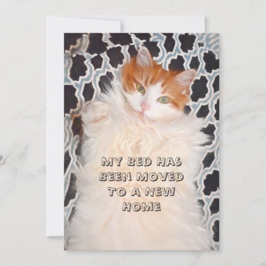 Catおもしろいかわいい新しいアドレス 案内状 (正面)