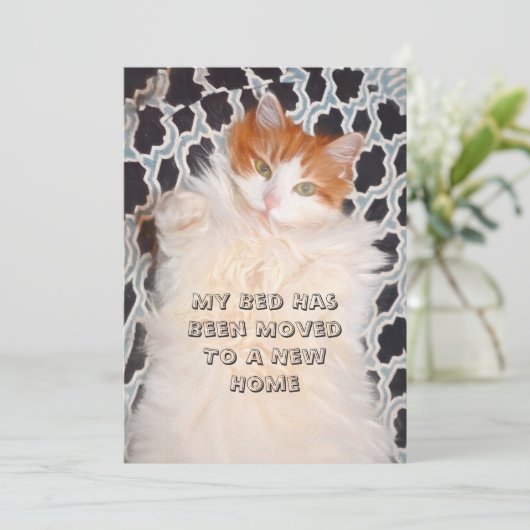 Catおもしろいかわいい新しいアドレス 案内状 (スタンド正面)