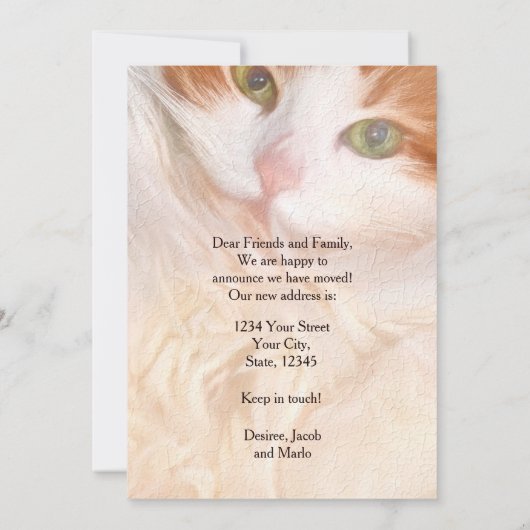 Catおもしろいかわいい新しいアドレス 案内状 (裏面)