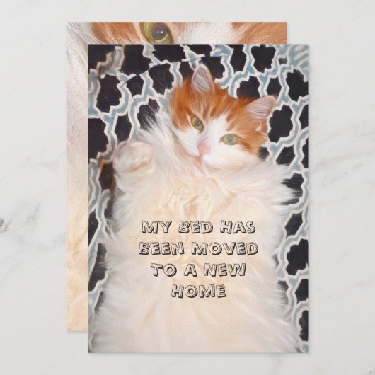 Catおもしろいかわいい新しいアドレス 案内状 (正面/裏面)