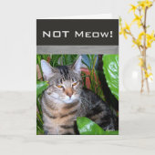 Catおもしろいノートカード「Not Meow」 カード (黄色い花)