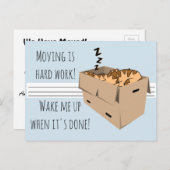 Catおもしろい新アドレス案内 案内ポストカード (正面/裏面)