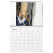 Catお尻2022カレンダー カレンダー (2月 2027)