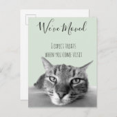 Catからの新しいアドレスのおもしろい発表 案内ポストカード (正面/裏面)